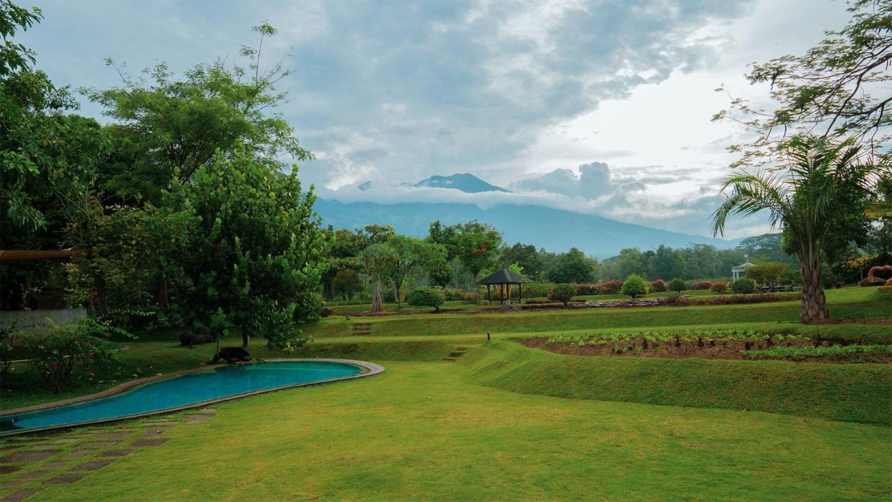 K Gallery Hotel Pasuruan Dış mekan fotoğraf