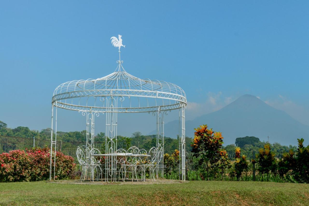 K Gallery Hotel Pasuruan Dış mekan fotoğraf