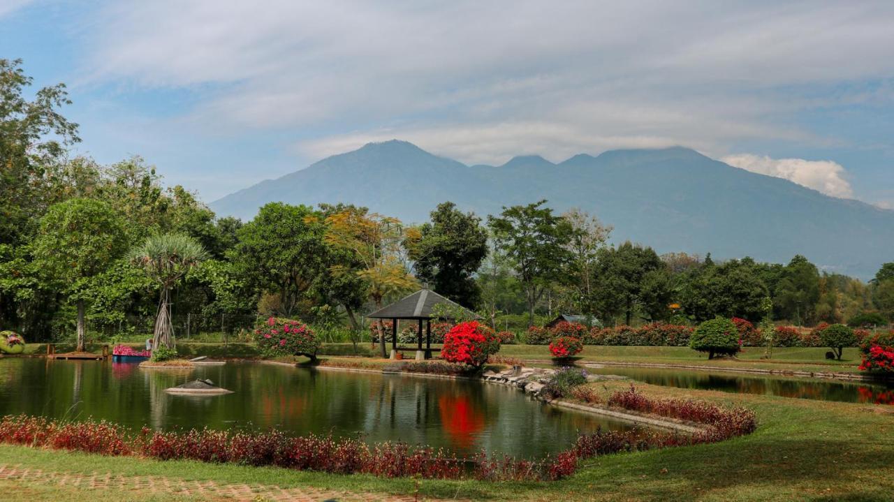 K Gallery Hotel Pasuruan Dış mekan fotoğraf